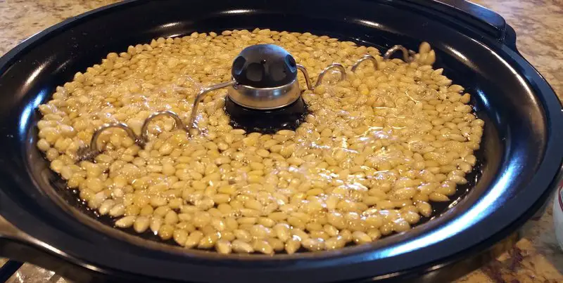 How To Use A Popcorn Maker Complete Guide