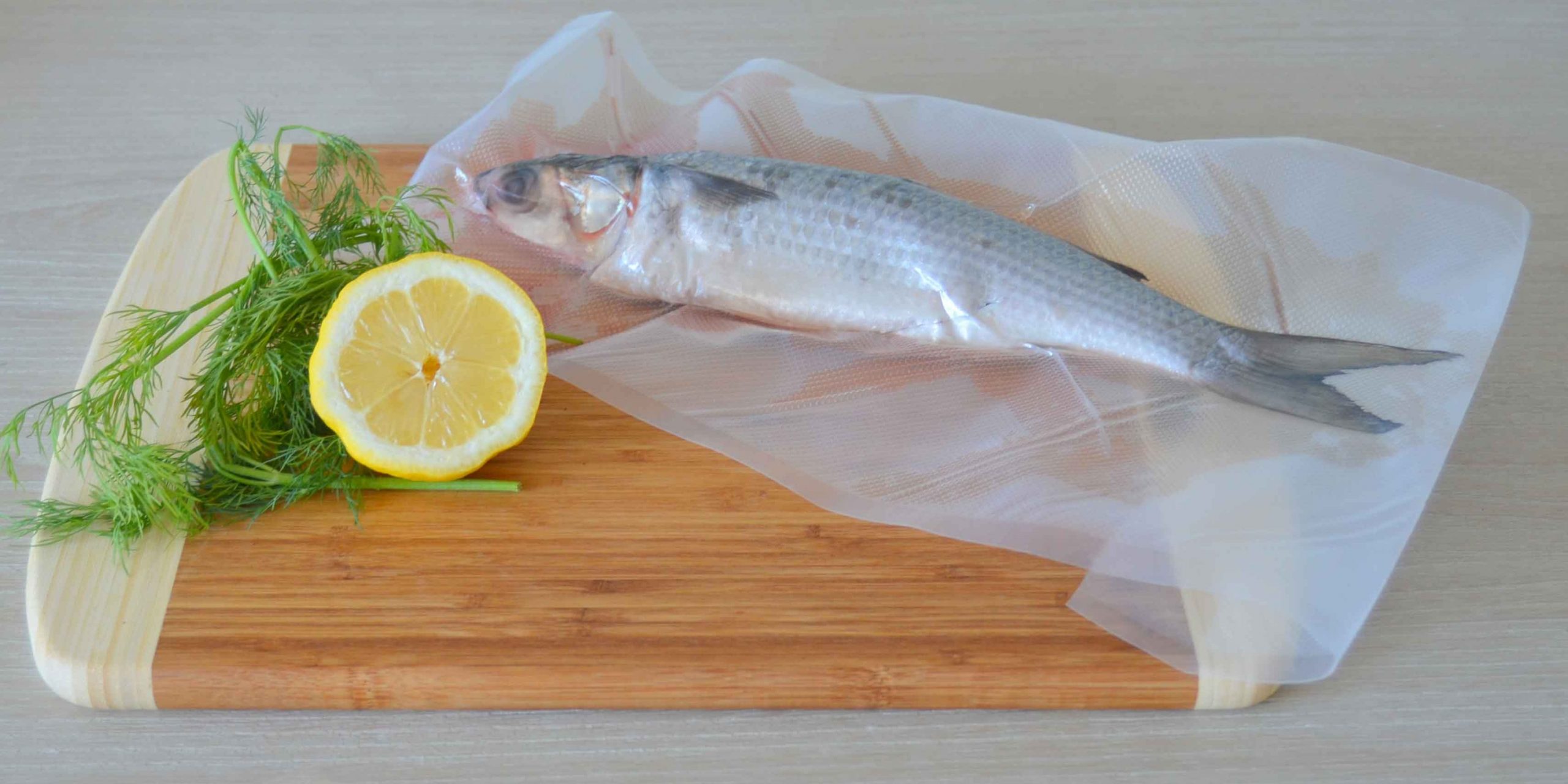 Best Vacuum Sealer for Fish